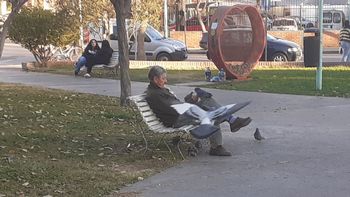 Hardy disfruta de sus amigas las palomas. Ni bien llega a la plaza lo rodean y le hacen compañía. 