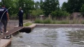 Horror en Allen: Encuentran flotando en un canal de riego el cuerpo de un hombre | LMCipolletti.com Horror en Allen: Encuentran flotando en un canal de riego el cuerpo de un hombre