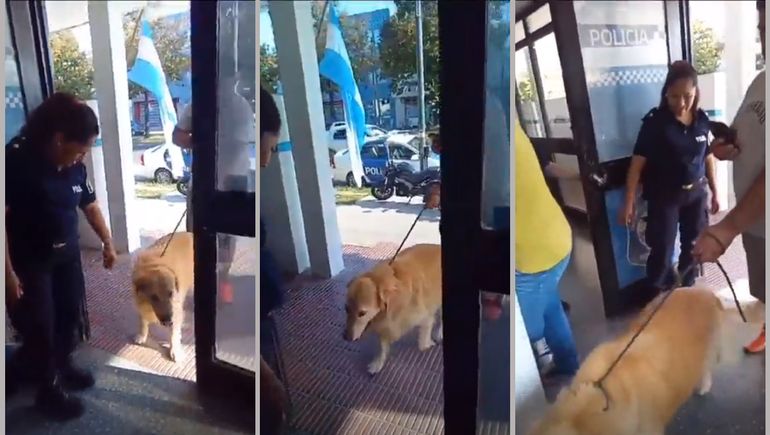 Video: Le sacaron a su perro por querer faenarlo
