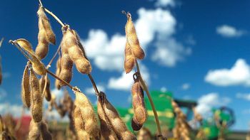 El plan oficial prevé una disminución progresiva de las alícuotas para el agro y la agroindustria durante los próximos años. | LMCipolletti.com El plan oficial prevé una disminución progresiva de las alícuotas para el agro y la agroindustria durante los próximos años.