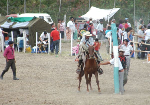 Fiesta gaucha por el Día de la Tradición en Allen