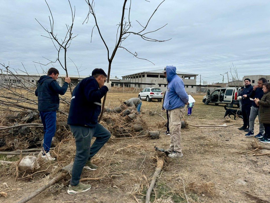 La forestación es una labor imprescindible para mejorar la calidad de vida y para la protección del medio ambiente en que se desarrolla la comunidad. Cipolletti necesita ampliar la vegetación que constituye su pulmón urbano.