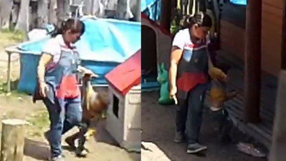 Filmaron a una maestra mientras maltrataba a nenes en un jardín 