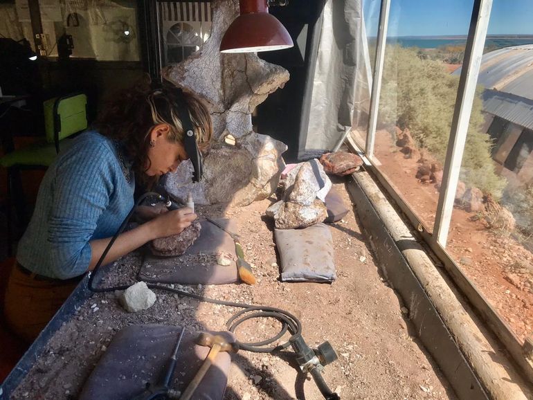 Hallaron dos tortugas de unos 90 millones de años en el lago Barreales