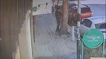 El ladrón se escondió detrás de un árbol, desde donde vigiló los alrededores. Cuando tuvo campo libre abrió la puerta del auto y robó el bolso. 