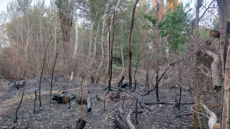 Los incendios de pastizales y de espacios invadidos por una espesa vegetación son habituales en el sector rural perlense. Perlense de hecho, no administrativamente.