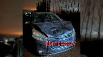 El vehículo sufrió daños materiales en la zona del capot y del tren delantero. El conductor no sufrió heridas de consideración. El vehículo sufrió daños materiales en la zona del capot y del tren delantero. El conductor no sufrió heridas de consideración.
