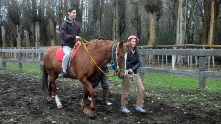 La terapia con caballos es utilizada en personas con discapacidad.