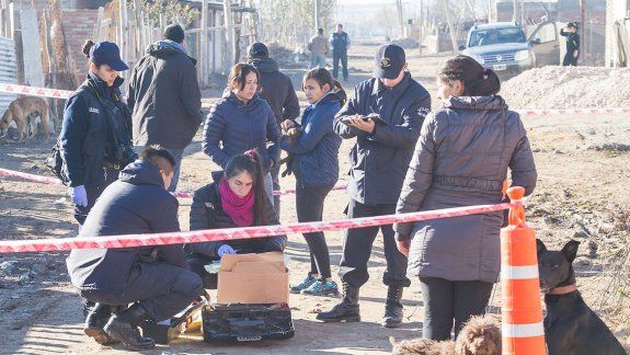 Bajaron los delitos graves: en tres años cayó un 51 por ciento