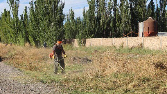 El área se encarga del mantenimiento de espacios públicos.
