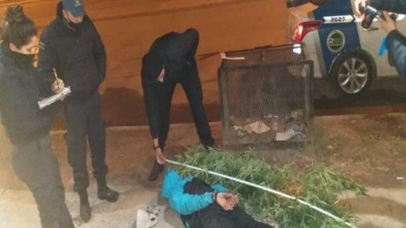 Intentó ocultarse en una garita con dos plantas de marihuana