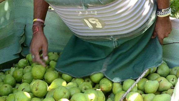 Los chacareros no tendrán el subsidio  para la cosecha 2018