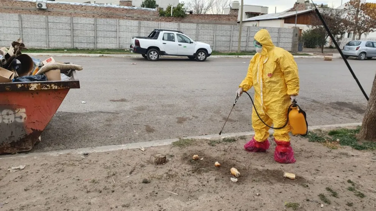 Personal de zoonosis del municipio de Choele Choel realizó este domingo trabajos en la vía pública. Foto: gentileza 7 en Punto. Personal de zoonosis del municipio de Choele Choel realizó este domingo trabajos en la vía pública. Foto: gentileza 7 en Punto.