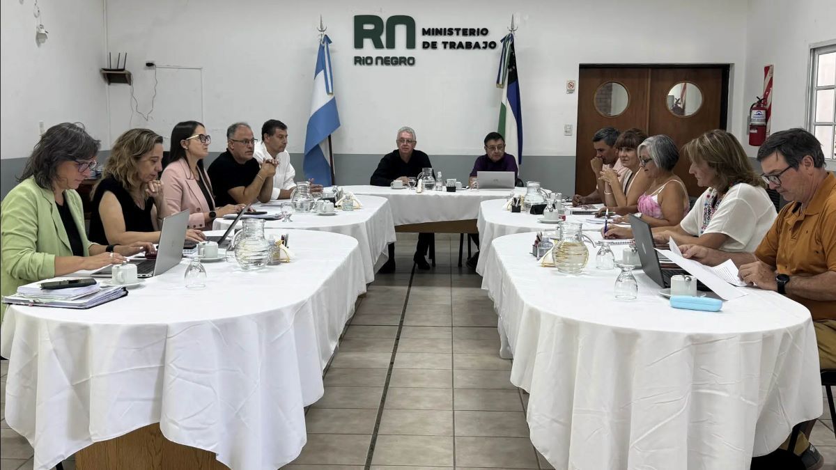 En los encuentros realizados la semana los tres gremios estatales rechazaron la propuesta salarial del gobierno rionegrino.&nbsp;