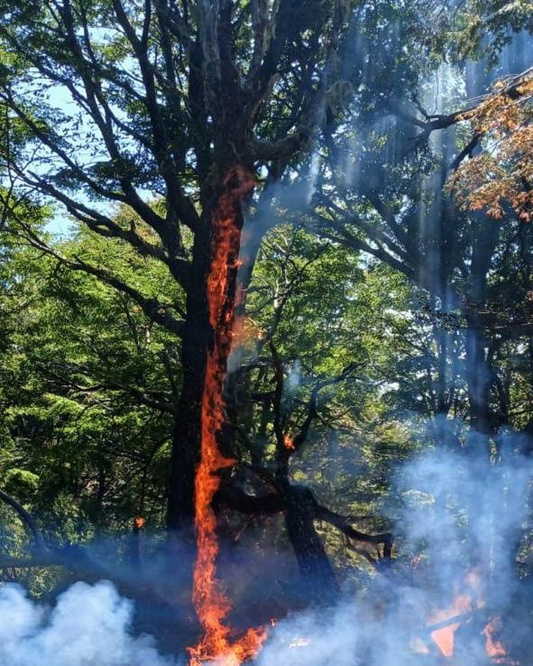 Imagen de archivo. | LMCipolletti.com Imagen de archivo.