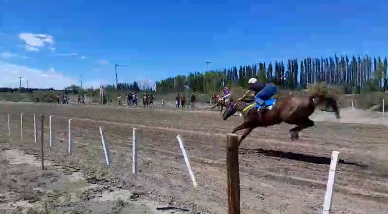 En los últimos metros el caballo de desplomó y el jockey sufrió un golpe extremadamente violento. 