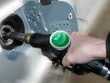 Elevan el corte de biocombustibles para garantizar el abastecimiento de gasoil