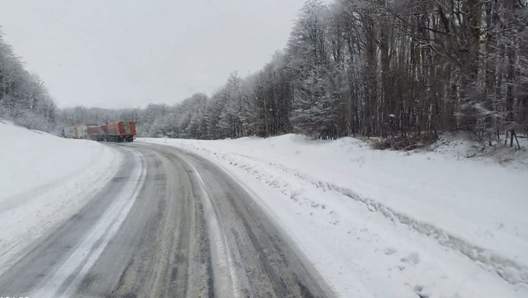 Viajes a Chile: cómo se encuentra el paso internacional Pino Hachado
