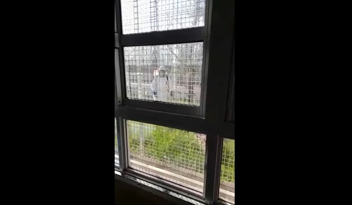 La Unter denunció que fumigaron una escuela en horario de clases
