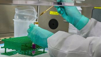 La vacuna nasal previene el contagio de Chagas. Fue desarrollada por investigadores argentinos e impulsada luego por institutos de países de Europa, y ya superó con éxito las pruebas en los primeros modelos animales.