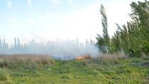 ¿sigue el viento en cipolletti? el pronostico para este martes