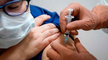 pediran autorizar vacuna que se prueba en el pais pediran autorizar vacuna que se prueba en el pais