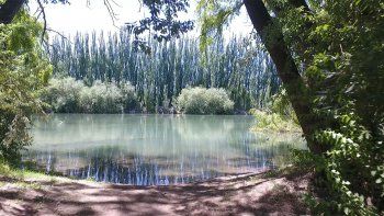 turismo de cercania: el parque sobre el rio neuquen que parece de cordillera