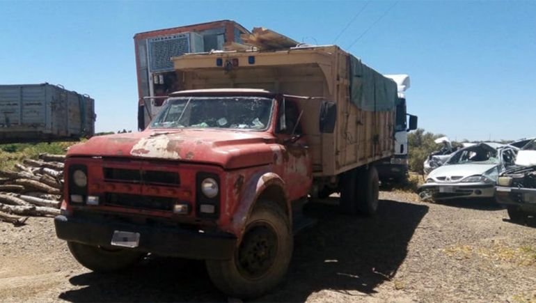 Paso Córdoba: decomisaron más de 2000 kilos de leña cortada de forma ilegal