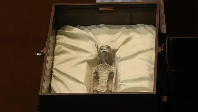 México: presentan pruebas de vida extraterrestre a diputados