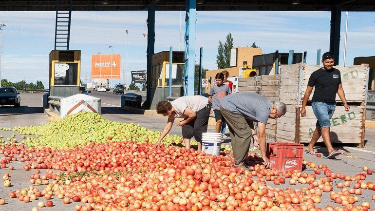 ¿Podrá la sidra evitar que cada año se tiren miles de kilos de fruta?