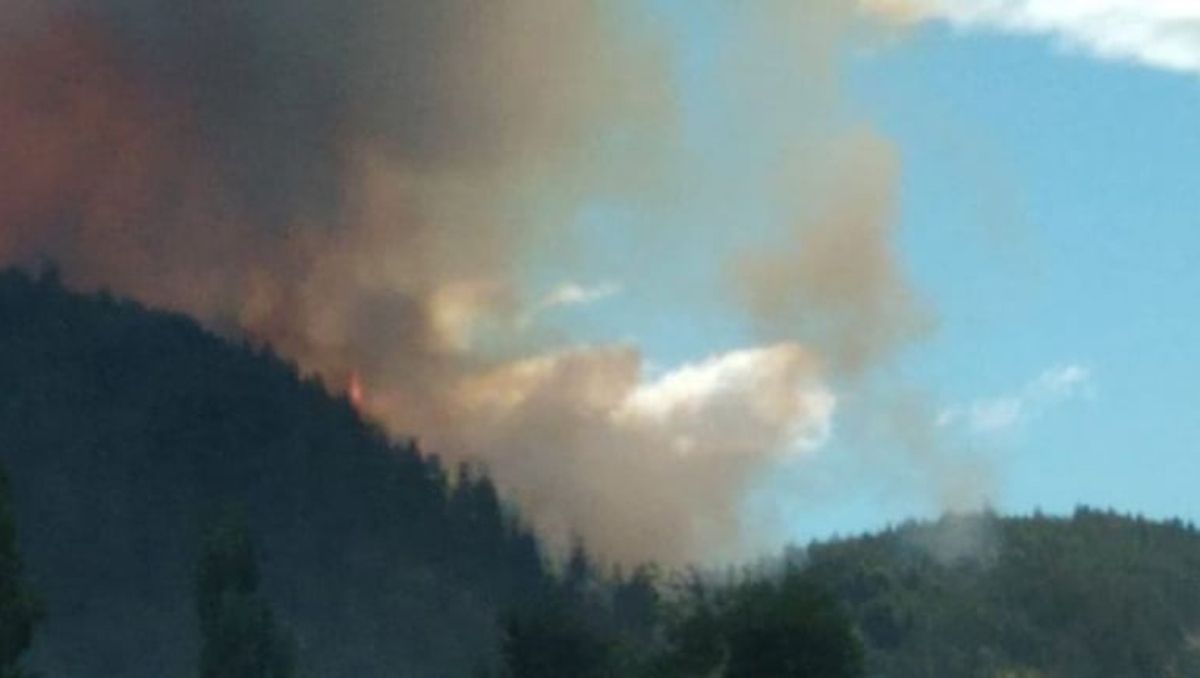 Feroz incendio mantiene en vilo a la comunidad de El Bolsón