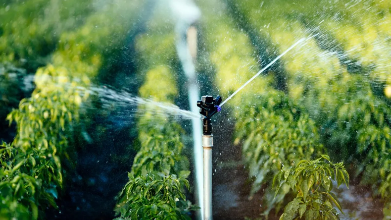Neuquén lanza incentivos para productores: ¿Primer paso hacia una matriz productiva más amplia?