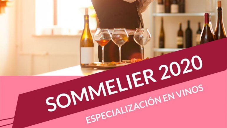 A un clic del conocimiento: ¿Cursos de vino a distancia?