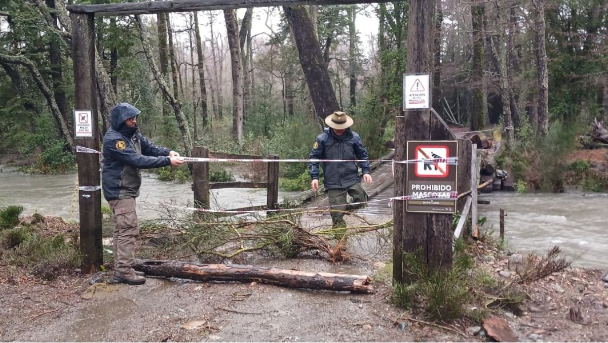 Así quedó el Parque Nacional Lanín tras el temporal
