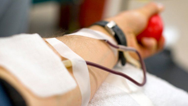 El 14 de junio se celebra el Día Mundial del Donante de Sangre.