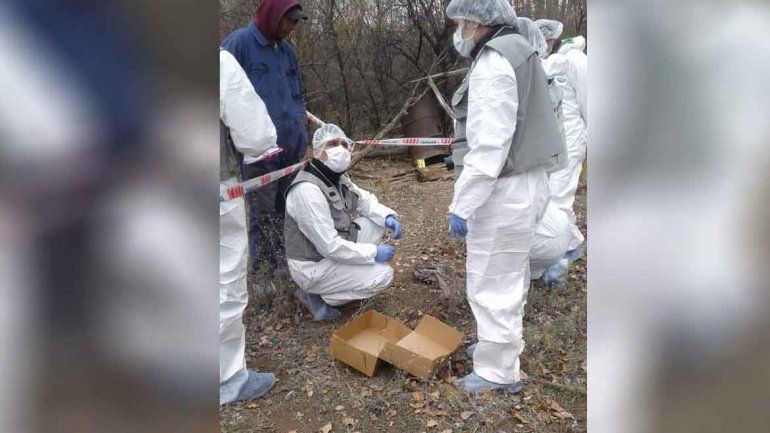 Hallan huesos humanos en El Chañar e investigan un brutal crimen