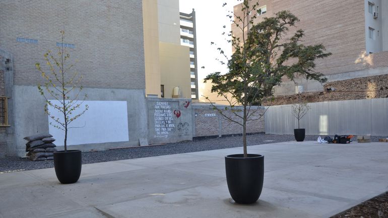 En las últimas semanas se avanzó en la jardinería del especio y trabajos de iluminación. En las últimas semanas se avanzó en la jardinería del especio y trabajos de iluminación.