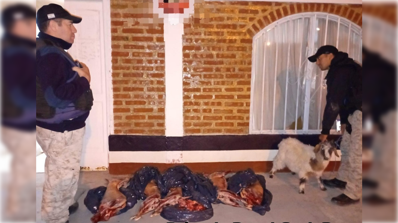 El secuestro fue realizado por&nbsp; la Brigada Rural en General Roca. Foto: Gentileza.