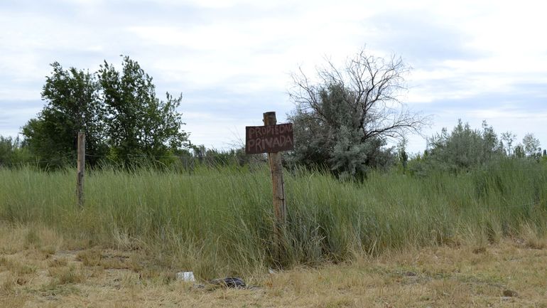 Con multas millonarias