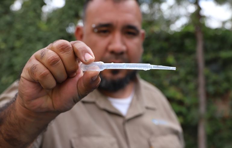 Los equipos técnicos tomaron muestras en reservorios de agua para detectar la presencia de mosquitos o potenciales criaderos.