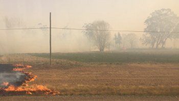 voraz incendio consumio el predio de la facultad de ciencias agrarias voraz incendio consumio el predio de la facultad de ciencias agrarias