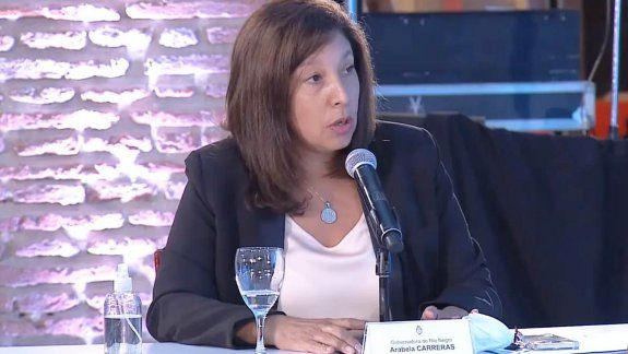 Qué dijo Carreras sobre el acuerdo con el FMI