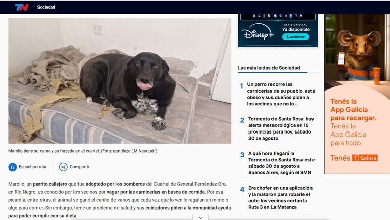 Marolio, en el portal de TN, que recogi&oacute; la nota de LMC. Una noticia muy le&iacute;da en todo el pa&iacute;s.