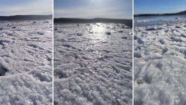 Un guardafauna del lugar capturó el fenómeno en imágenes.&nbsp;