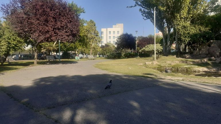 Martes frío en el Alto Valle: día por día, cómo sigue el viento durante la semana