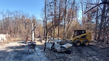 incendios en el bolson: seis ideas de la unrn para la reconstruccion