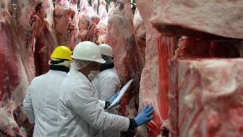 La producción de carne vacuna retrocedió 6,2% en los primeros seis meses del año.