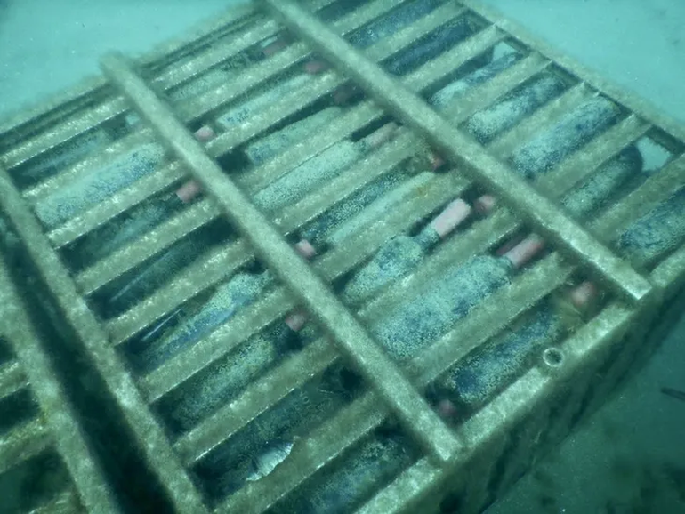 La primera degustaci&oacute;n ser&aacute; el 7 de febrero en Las Grutas.&nbsp;