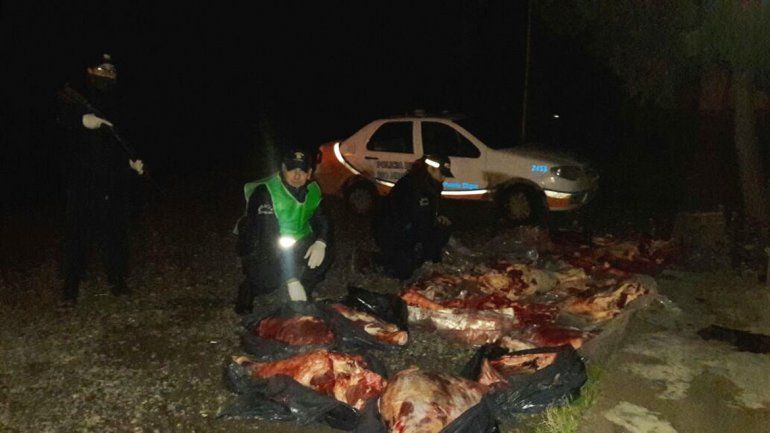 Secuestraron casi 500 kilos de carne que venían al Alto Valle