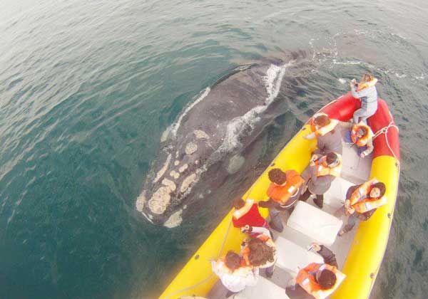 Promocionarán los destinos turísticos de Río Negro